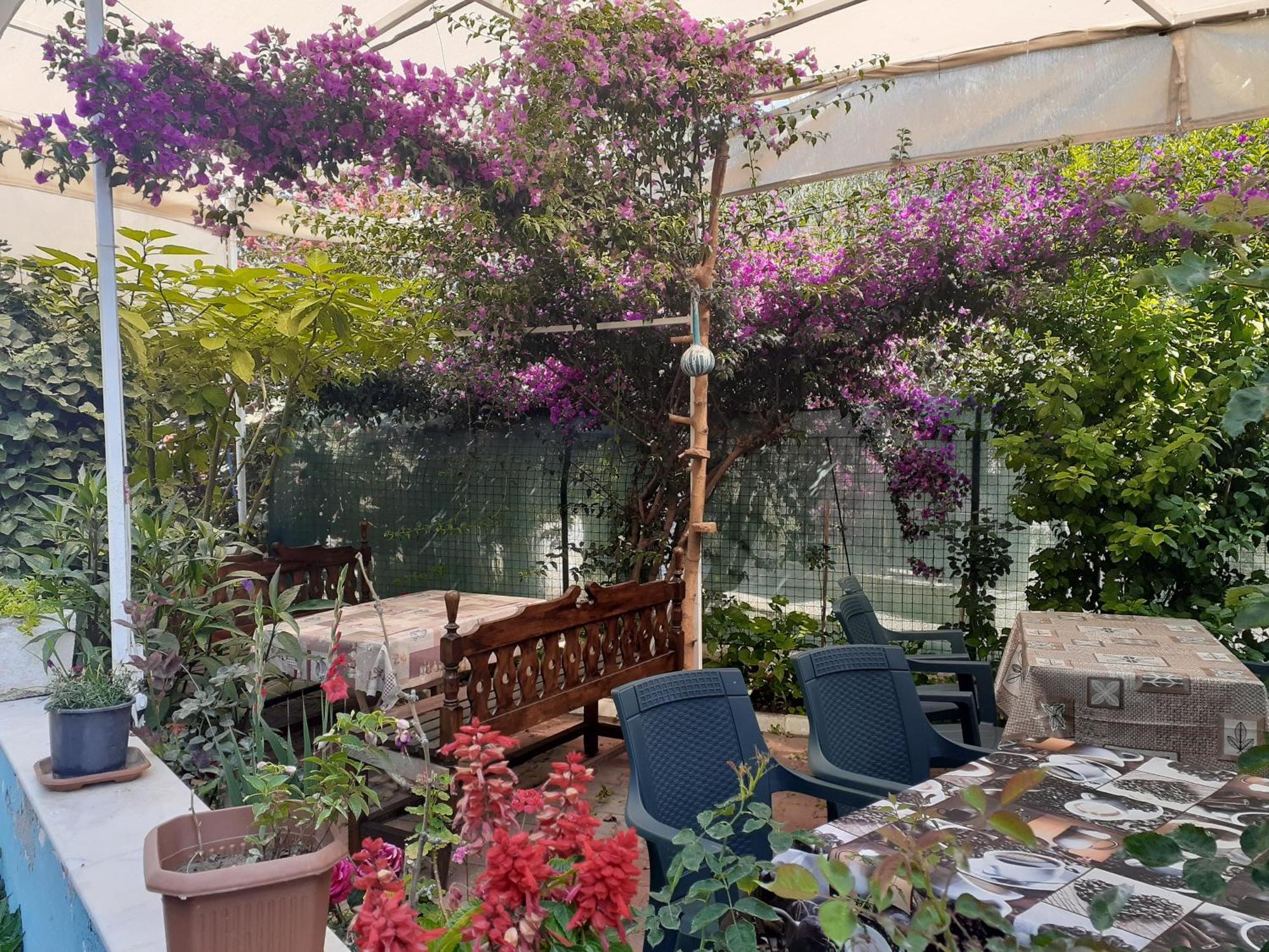 Guzelcamlı Samos Apart Pension מראה חיצוני תמונה