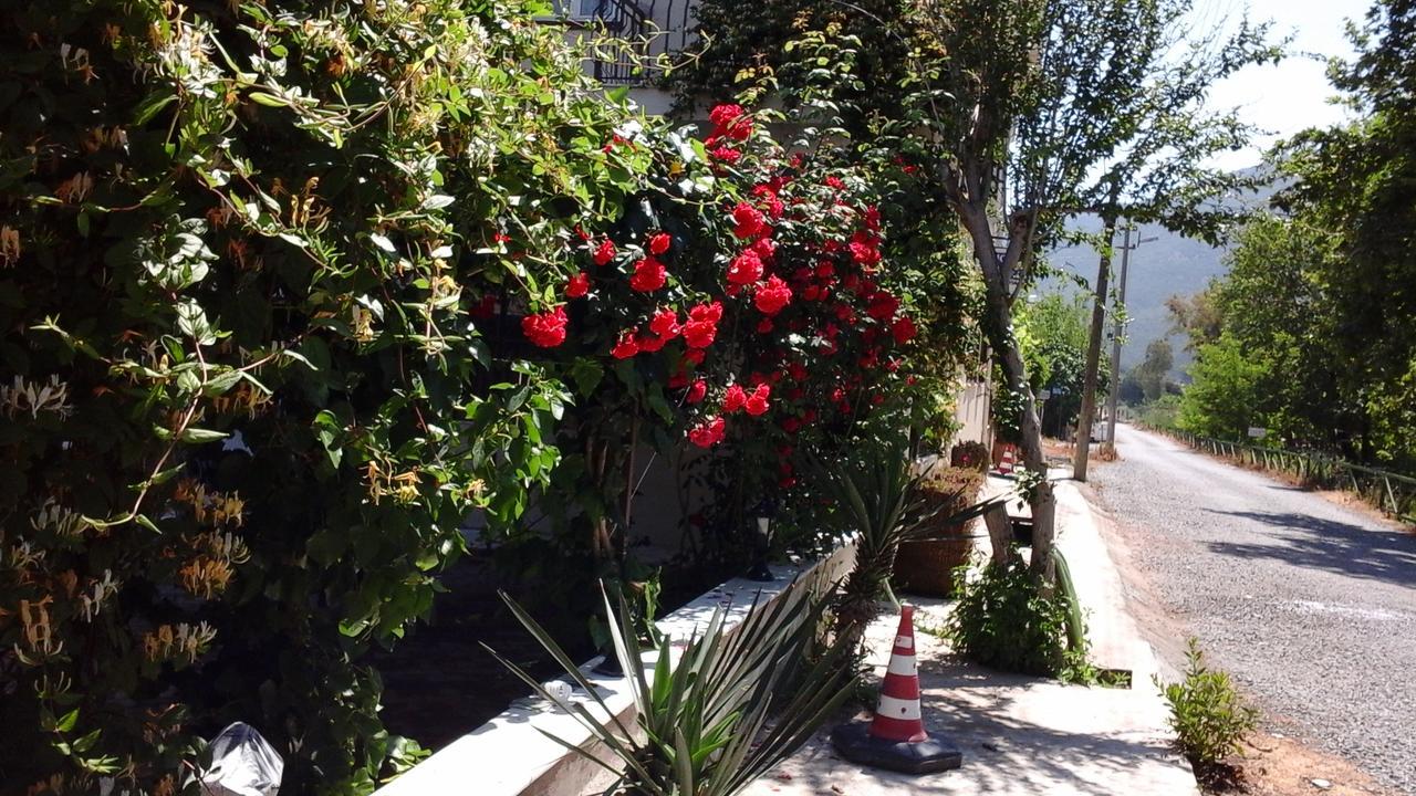 Guzelcamlı Samos Apart Pension מראה חיצוני תמונה